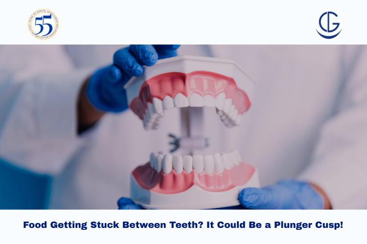 plunger cusp
