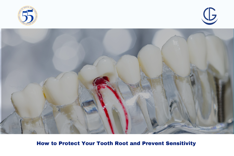 tooth root
