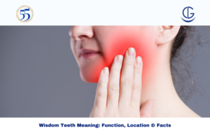 wisdom teeth meaning